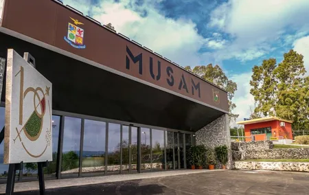 Italian Air Force Historical Museum Entrance Tickets