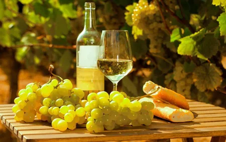 Private Double Wine Tasting Tour in Frascati - Exclusive