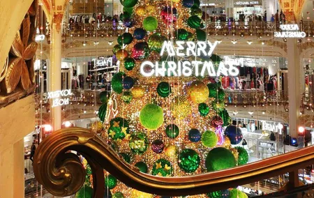 Paris Christmas Illuminations and Local Festivities Private Tour