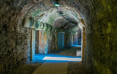Colosseum Underground tour with Forum and Palatine Hill