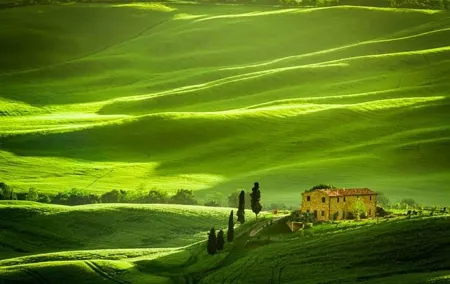 Private: Tuscany Day Tour from Rome with Optional Wine Tasting