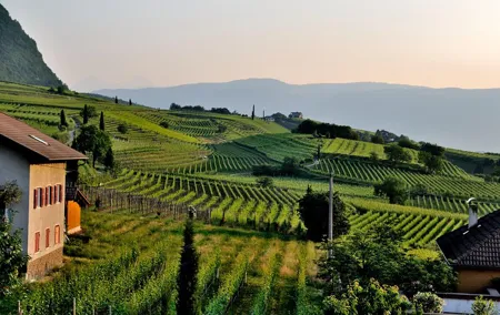 Tuscany Wine Tour from Rome with Private Driver
