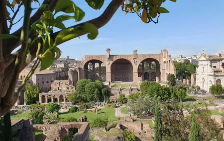 Roman Forum and Palatine Hill Access