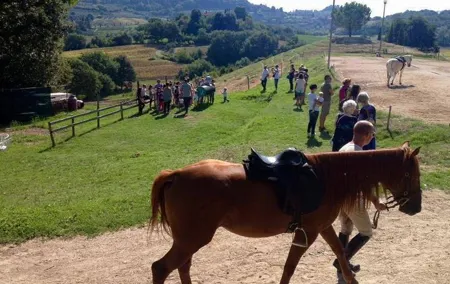 Wine tasting and horseback riding in Montepulciano, in Tuscany from Rome
