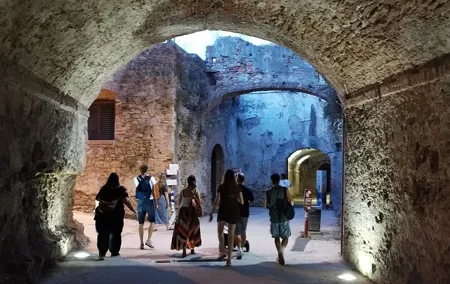 ROME: colosseum gladiator arena ,forum& palatine guided tour