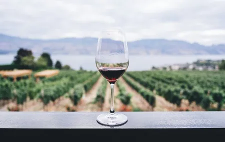 Private Wine Cellar Tour Near Rome