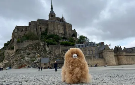 Private Guided Mont Saint Michel & D-day tour from Paris