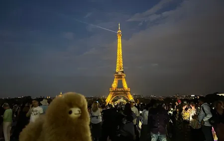 Private Paris City Night Sightseeing Tour - Sparkle Eiffel Tower