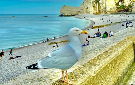 Day Trip from Paris Rouen Etretat and Deauville