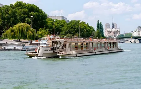Seine River 1-Hour Sightseeing Cruise from the Eiffel Tower