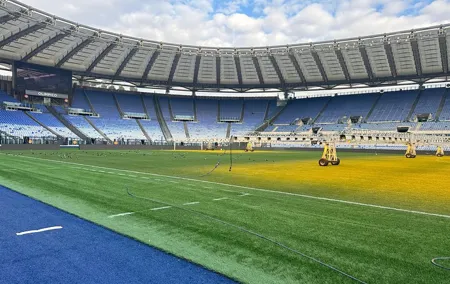 Olympic Stadium VIP Tour and Lunch Buffet