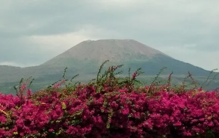 Pompeii SkipTheLine and Mt Vesuvius with Lunch&WineTasting from Rome