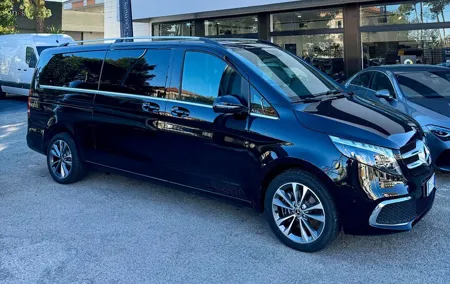 VIP Transfer from Fiumicino Airport to Rome or Vice Versa