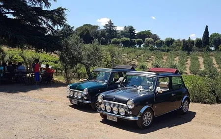 Winery Tour in Mini Cooper Classic Cabrio wine testing and lunch
