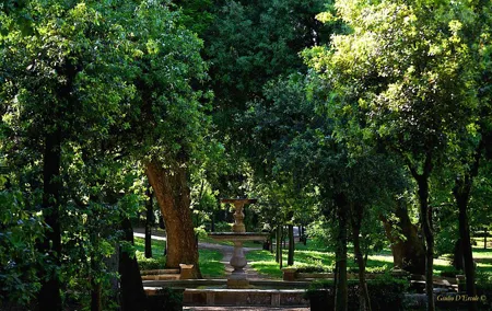 Villa Borghese and Posh Areas Unique Photo Tour and Workshop