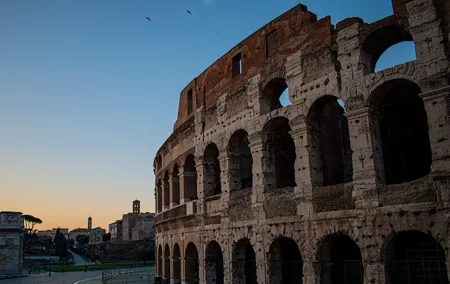Express Colosseum Guided Tour