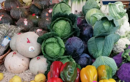 Testaccio Street Food Tour Eat Like a Local