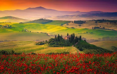 Tuscany from Rome by Private Car with Lunch and Wine Tasting