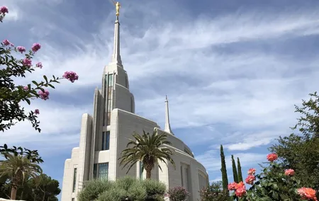 Rome: 3-hours visit of Rome Italy Temple (private cab)