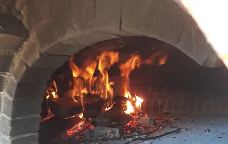 Rome: Wine Tour & Pizza Making Class in a Frascati's vineyard - 5 hours