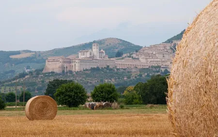 Montepulciano Wine Tasting and Assisi Private Day Tour from Rome