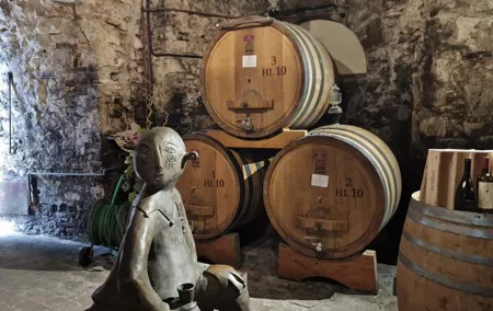 Montepulciano Wine Tasting Private Tour from Rome