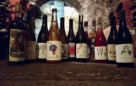 2 Hour Tasting of Overlooked Wines of Rome and Lazio