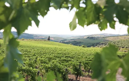 Chianti Wine Tour from Florence