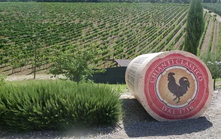 Essence of Chianti Small Group Tour with Lunch and Tastings from Florence