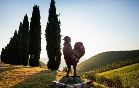 Semi Private Deep Wine Chianti and San Gimignano from Florence