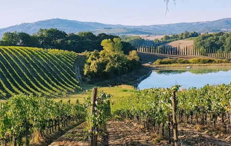 Chianti Wine Tastings Day Trip at Sunset from Florence