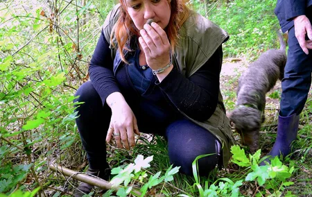 Truffle Hunting Experience with Lunch in San Miniato