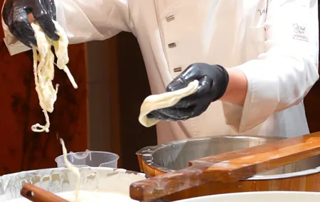 Florence: Mozzarella Cheese Making with Wine and food Tastings