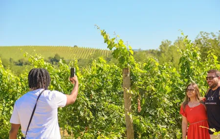 Florence: Private Full-Day Chianti Tour and Winery Lunch Optional
