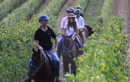 Horseback Riding with Wine Tour from Florence