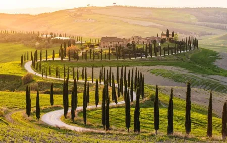 Private Day Trip Tuscany Landscape and Wine Tasting from Florence
