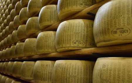 Exclusive Emilia-Romagna,Parmigiano, Prosciutto, Balsamic, Wine