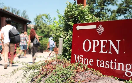 Chianti Wine Tour: Two Wine Tastings, Vineyards and Cellar Visit