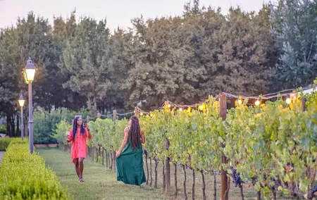 Afternoon in Siena and Chianti Wine Tour with Dinner from Florence