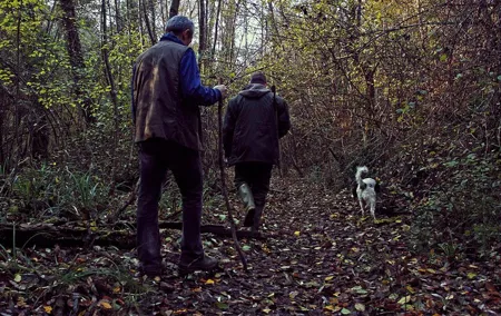 Truffle Hunting in Siena countryside