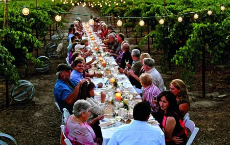 Chianti vineyards: Small-Group tour with wine tasting & Dinner