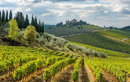 Chianti Wine Tour - Private Wine experience in Tuscany Countryside