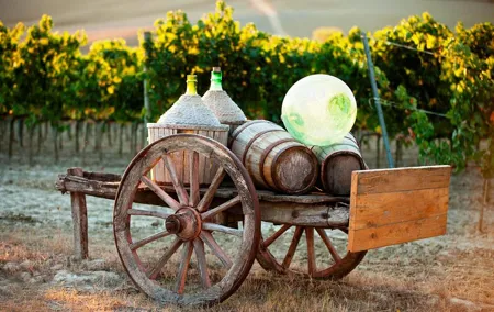 Chianti Classico, Montalcino, Montepulciano by minivan: Wine Tastings & Lunch