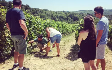 Private Chianti wine tour