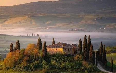 Chianti Charm & Passion: Private Day Trip from Florence