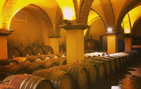 Exclusive Private Tuscany Wine Tour & Food Pairing Session