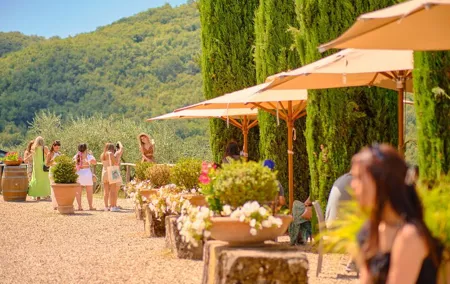Half-day Experience to San Gimignano Hills with Picnic and Wine