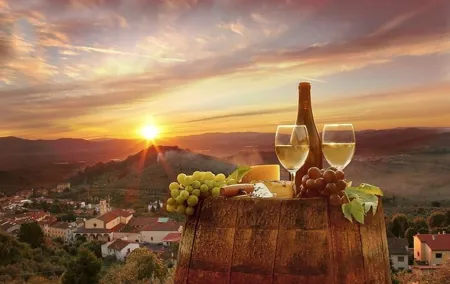 Special Chianti Afternoon Wine Tour from Florence
