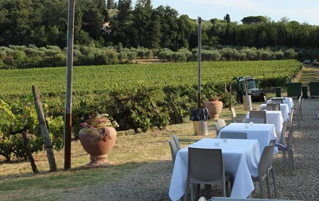 From Florence The Immersive Tuscan Winery Experience