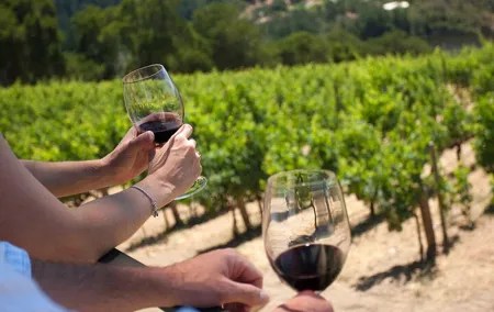 Wine tasting in TWO family wineries around Florence
